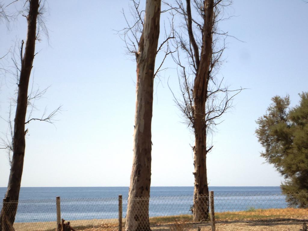 Ciuscia Bed and Breakfast Calatabiano Εξωτερικό φωτογραφία
