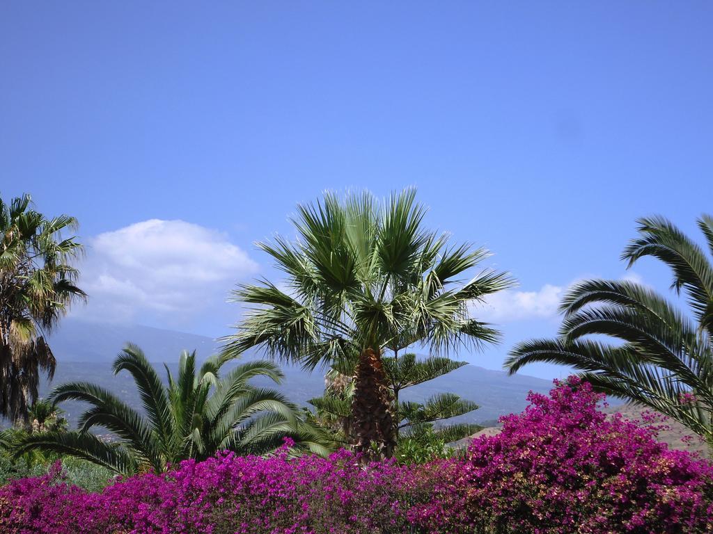 Ciuscia Bed and Breakfast Calatabiano Εξωτερικό φωτογραφία