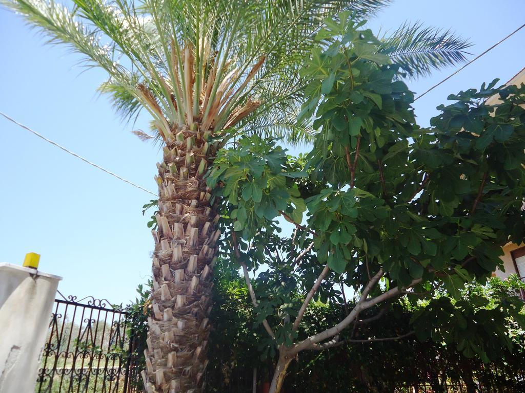 Ciuscia Bed and Breakfast Calatabiano Εξωτερικό φωτογραφία